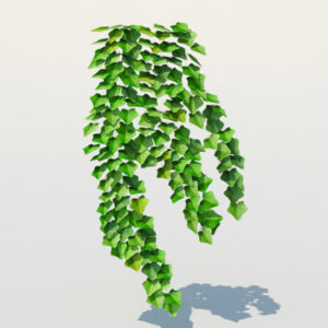ivy-plant-3d-model-13