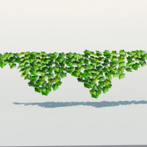 ivy-plant-3d-model-19