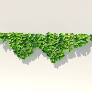 ivy-plant-3d-model-20