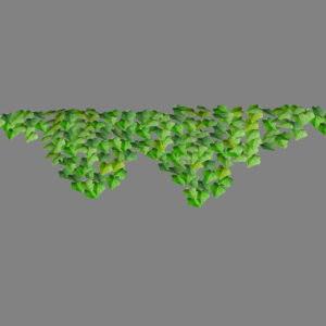 ivy-plant-3d-model-21