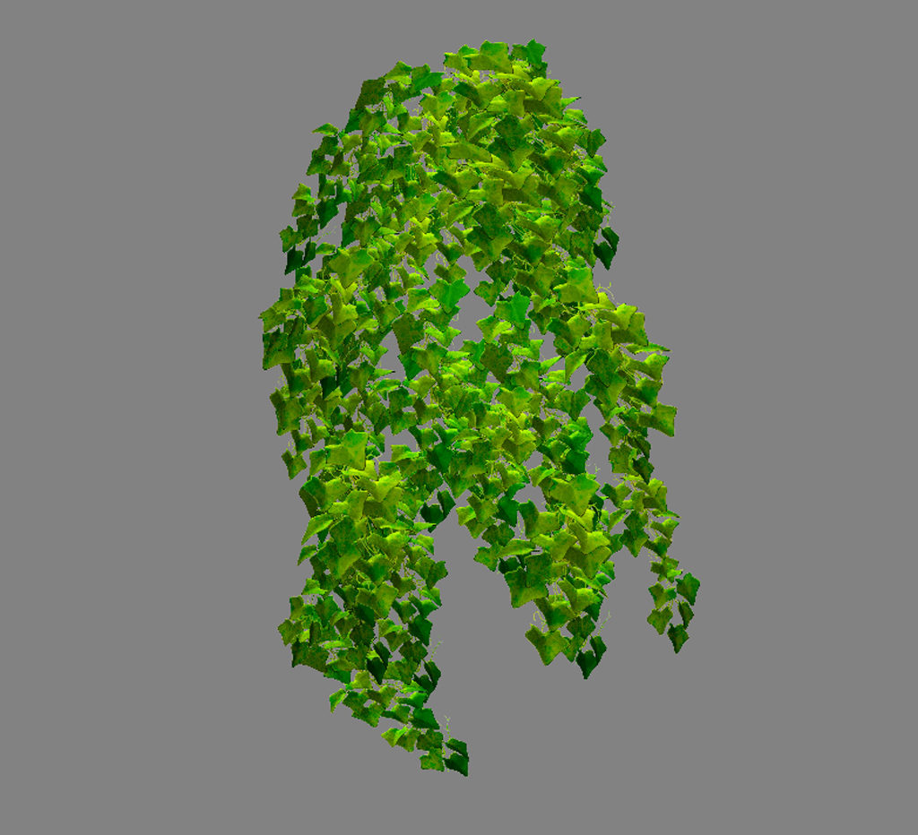 ivy-plant-3d-model-3