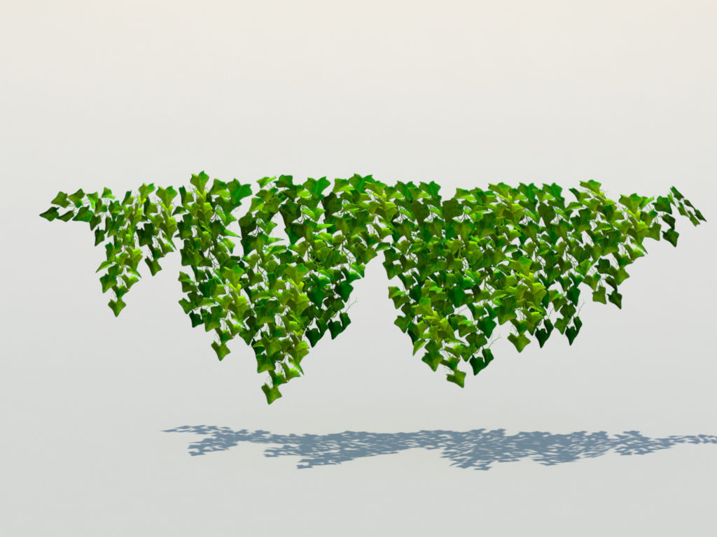 ivy-plant-3d-model-7