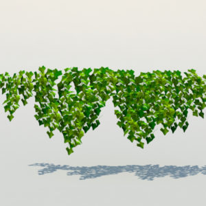 ivy-plant-3d-model-7
