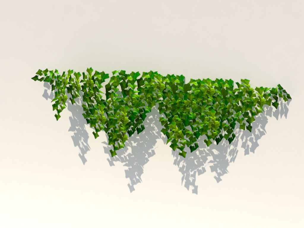 ivy-plant-3d-model-8