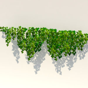ivy-plant-3d-model-8