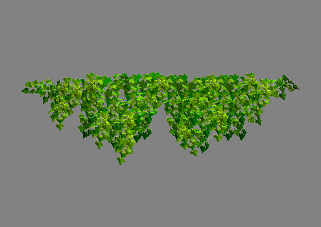 ivy-plant-3d-model-9