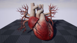 Human Heart 3D Model – Realtime - 3D Models World