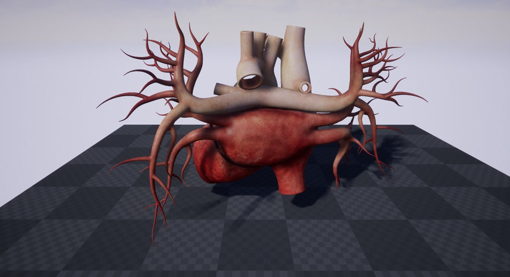 human-heart-3d-model-20