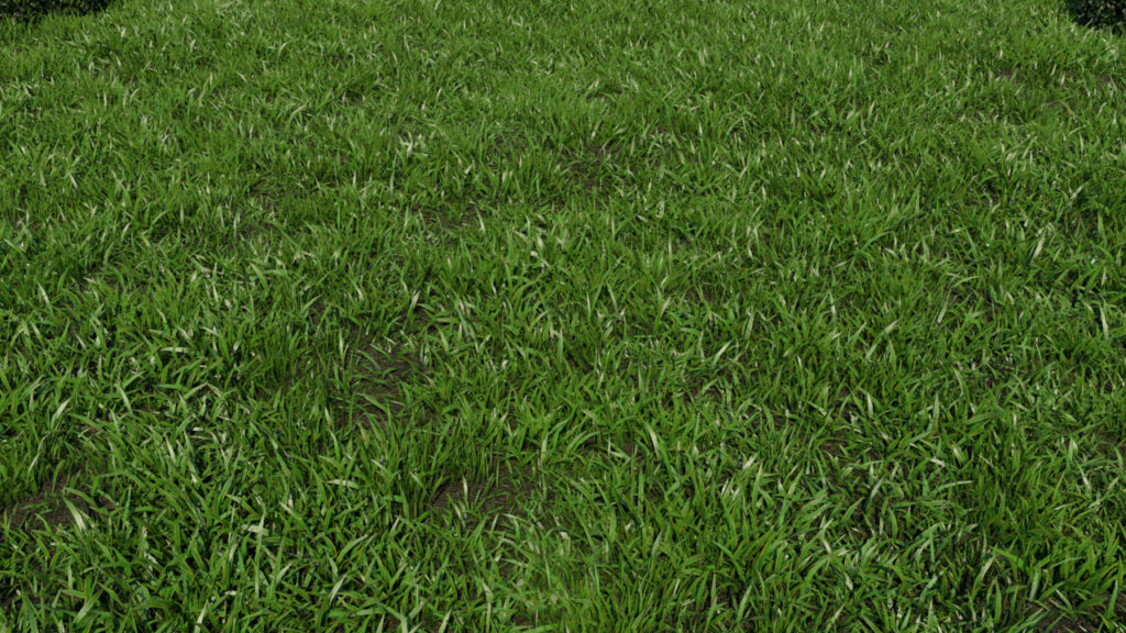 Grass Plant 3D Model – Realtime - 3D Models World