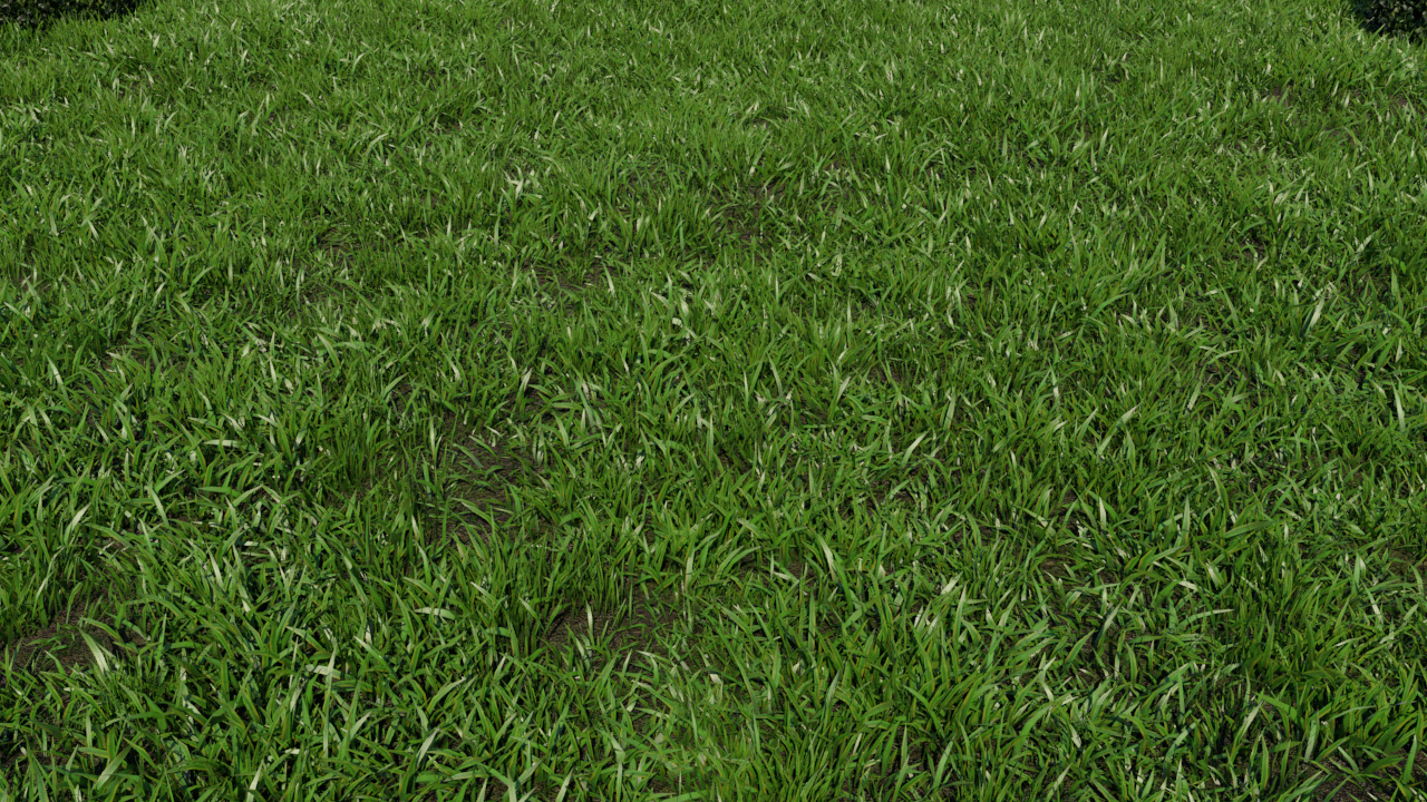  Grass  Plant 3D  Model  Realtime 3D  Models  World