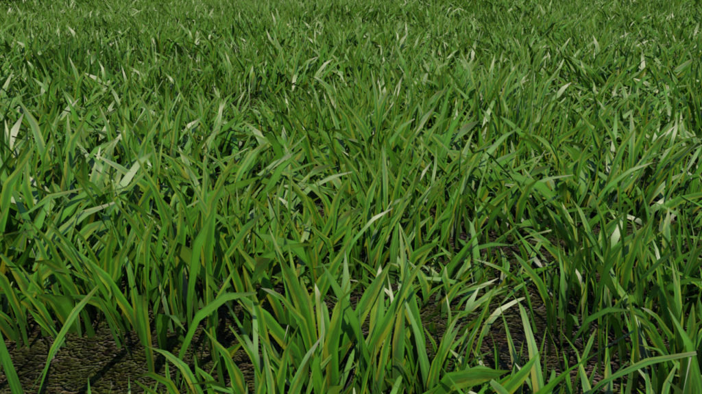 low-poly-grass-3d-model-maya-xgen-2