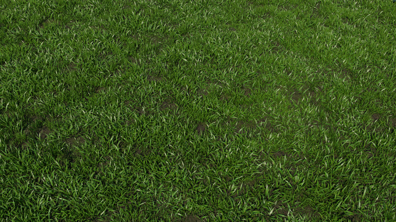 Unity 3D Grass Texture