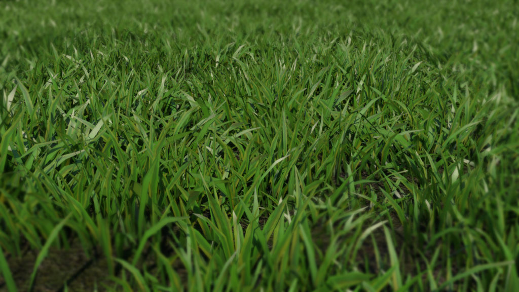 low-poly-grass-3d-model-maya-xgen-4