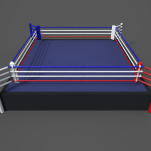 Boxing  Ring PBR 3D Model
