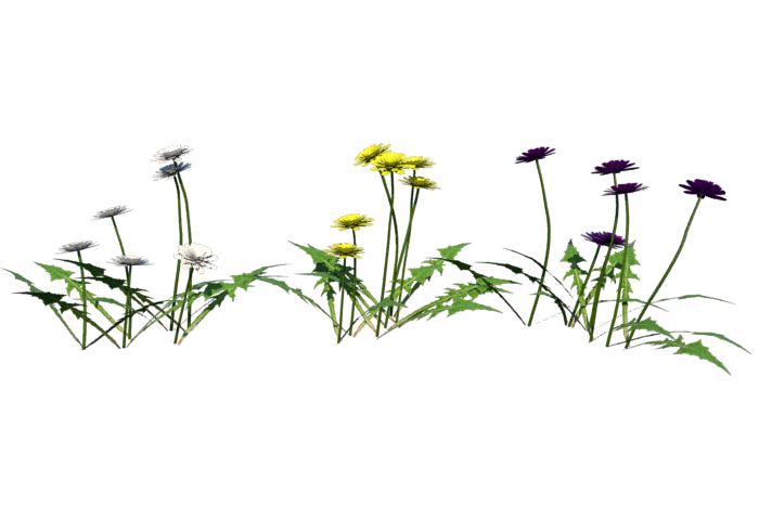 flowers-render