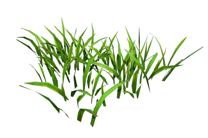 grass-low-poly-render