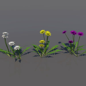 flowers-3d-models-1