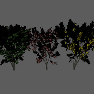 keyaki-trees-3d-models-2