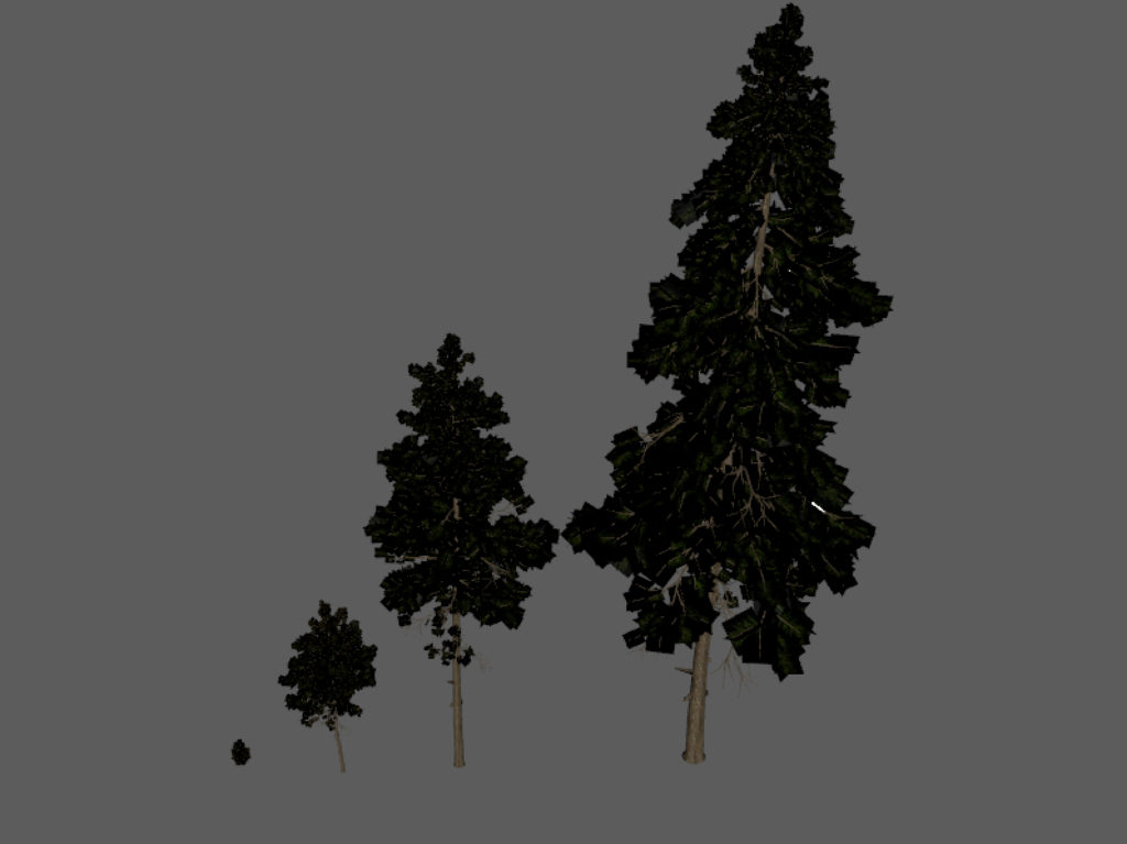 pine-trees-3d-models-2