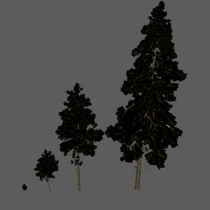 pine-trees-3d-models-2
