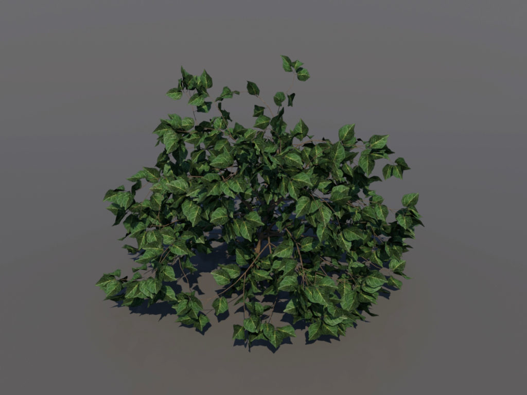 shrub-3d-model-1