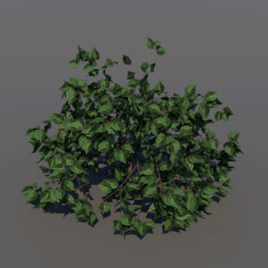 shrub-3d-model-1