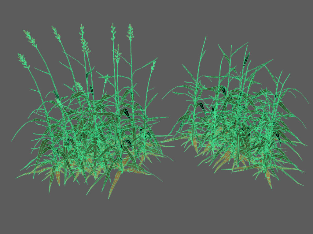 tall-grass-3d-model-3